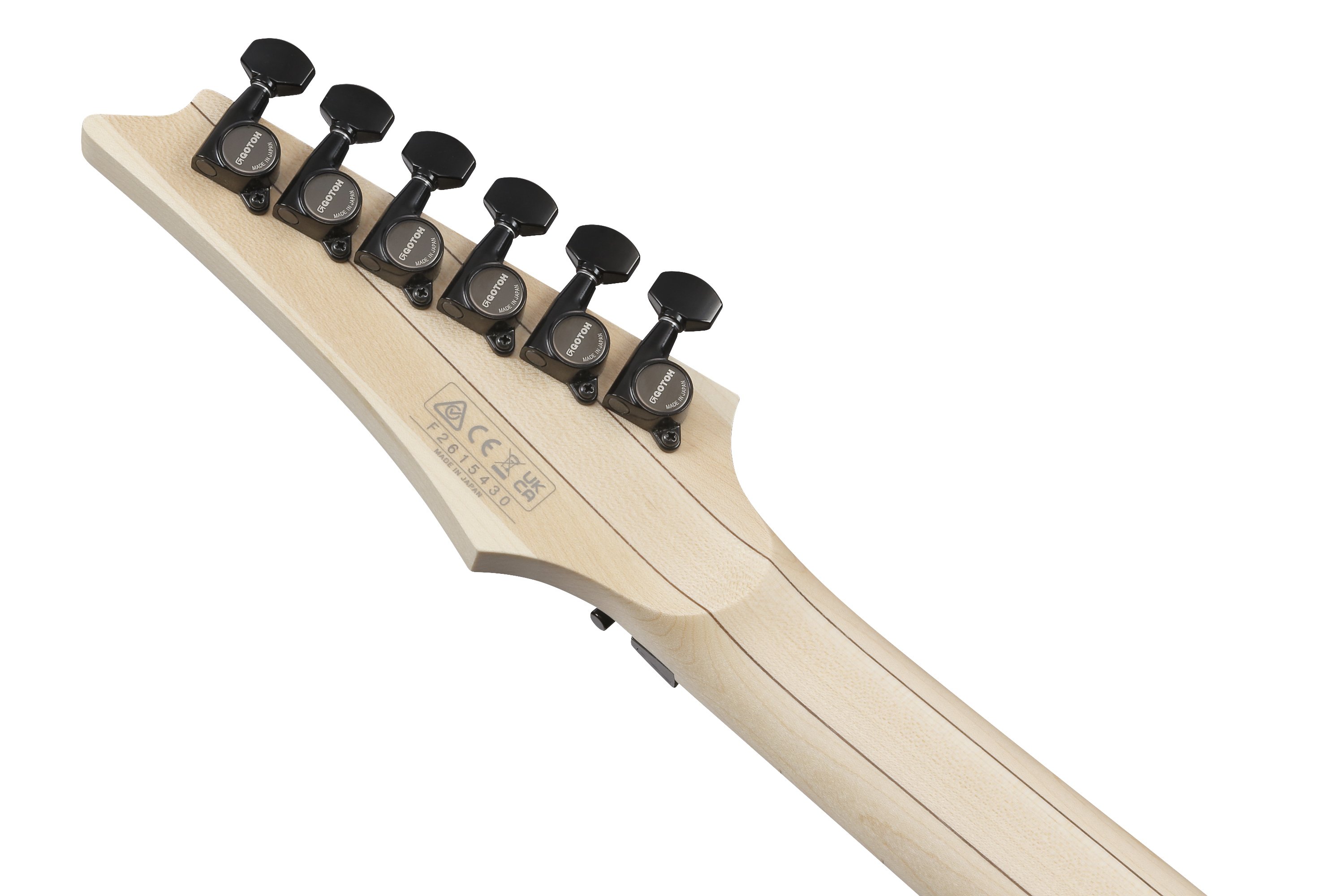 RG550 Genesis RG Black Flat E-Gitarre